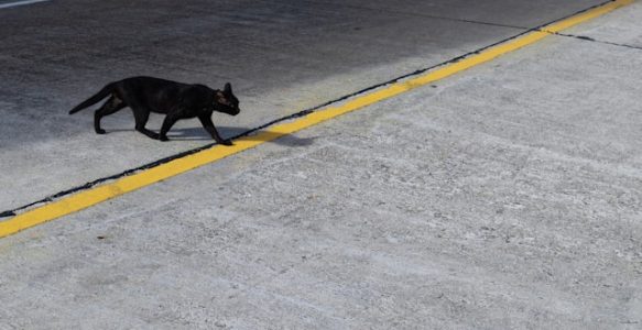 Apa yang Ingin Kamu Lakukan di Tahun Depan?