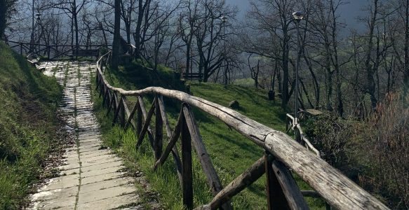 Maksud Hati Bersenang-Senang, Alih-Alih Tersesat